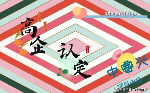 數字動漫制作企業如何申報蘇州高新技術企業認定